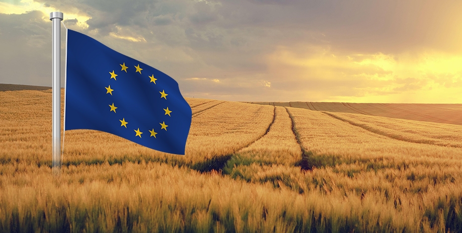 CE reduce estimările pentru cereale în UE, dar majorează prognozele pentru rapiță și floarea-soarelui CE reduce estimările pentru cereale în UE, dar majorează prognozele pentru rapiță și floarea-soarelui