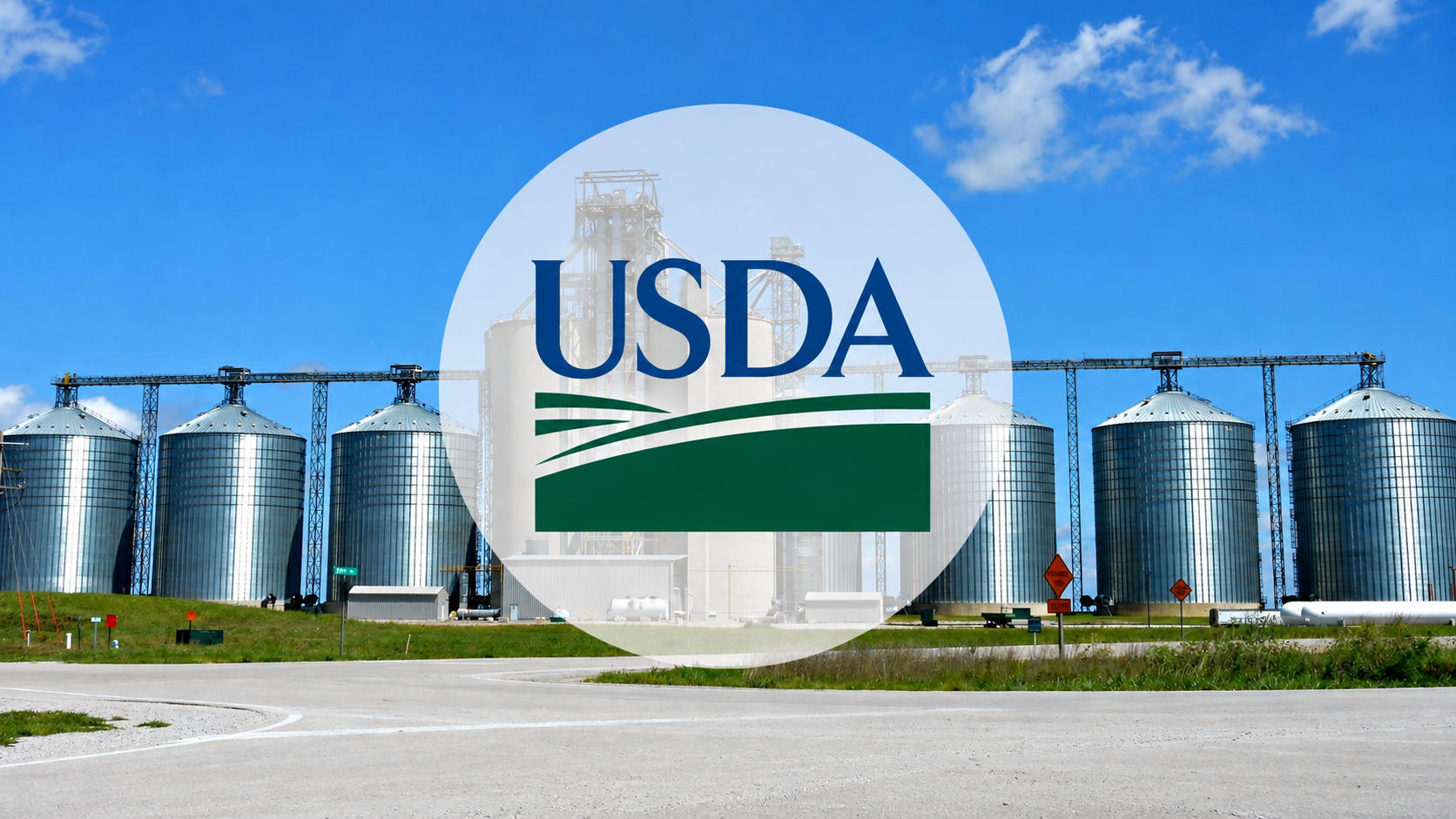 USDA zgâlțâie piața porumbului: stocurile sunt cu 35% peste nivelul din 2025 USDA zgâlțâie piața porumbului: stocurile sunt cu 35% peste nivelul din 2025