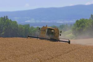 Prețul grâului european a revenit la nivelul de acum 2 luni