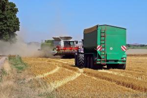 Prețurile cerealelor rămân susținute de costurile mari de logistică 