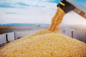 China continuă că protejeze piața internă a producătorilor de etanol