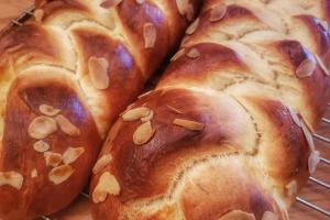 Cotațiile cerealelor Matif s-au tranzacționat în coborâre