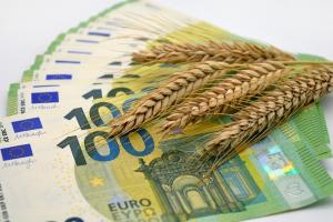 Ucraina ar putea comercializa produse agricole în UE fără taxe vamale