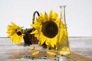 Taxa la exportul de ulei de floarea soarelui rus va fi zero