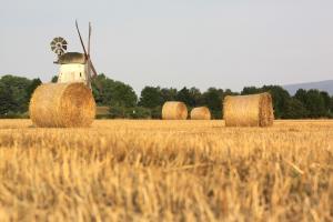 SovEcon și-a redus estimarea pentru producția rusă de grâu