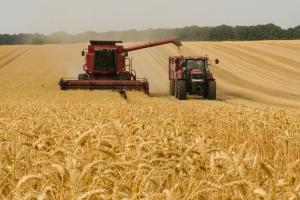 UE începe noul sezon cu presiunea livrărilor masive de grâu din Rusia