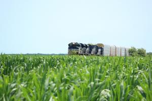 UE intensifică tranzitul cerealelor ucrainene după retragerea Rusiei