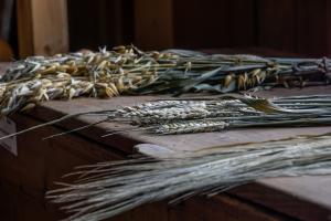 Volatilitatea acaparează piețele de cereale și oleaginoase