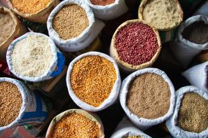 UE va exporta cerealele din Ucraina prin Culoarele Solidarității