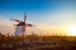 Noutățile din Ucraina presează prețul grâului de morărit