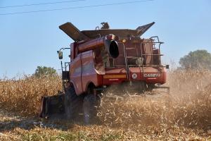 Perspectivele de export pentru porumbul din SUA rămân pesimiste 
