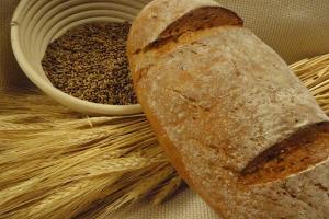 Grâul Euronext se întărește pe fondul uscăciunii din Ucraina și Argentina