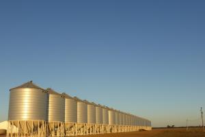 "Port uscat" în Zakarpattia din Ucraina: tranzit și depozitare cereale