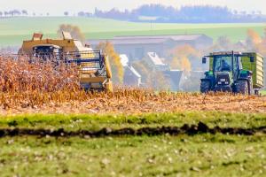 USDA reduce producția de porumb și soia din SUA