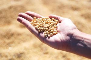 Argentina are urgent nevoie de bani din exporturile de cereale 