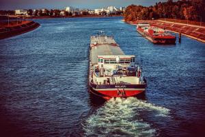 GASC este pe piață cu o licitație excepțională pentru porumb