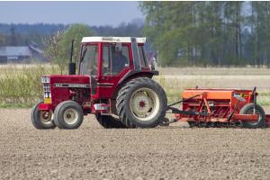 Prețurile grâului rusesc se află acum la nivelul din august 2020