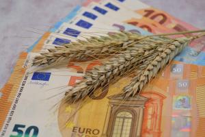 Factori economici și geopolitici susțin prețurile cerealelor europene