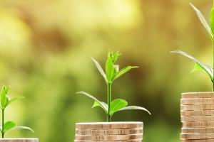 Grâul rusesc își păstrează avantajul de preț față de grâul din UE