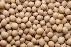 Producția de biodiesel poate schimba comerțul global cu soia