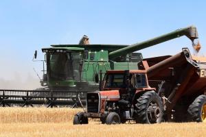 Producția de cereale a Kazahstanului va crește în sezonul 2024/25 