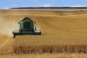 Estimările producției de cereale din Rusia continuă să urce