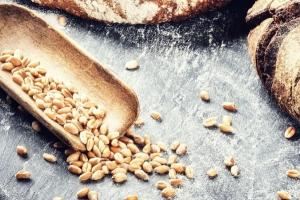 Scăderea prețurilor la cereale stârnește interesul importatorilor