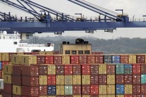 Egipt și Taiwan securizează loturi de mărfuri în licitațiile recente
