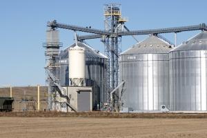 IGC crește estimarea producției mondiale de cereale