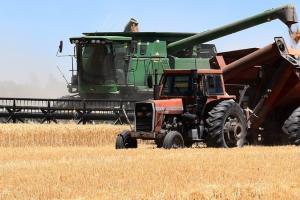Rusia a recoltat deja peste 50 milioane tone de cereale