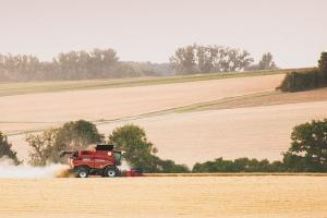 Producția de grâu în Franța - în scădere cu 28% față de anul trecut 