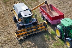 Progres semnificativ la recoltarea cerealelor în regiunea Mării Negre