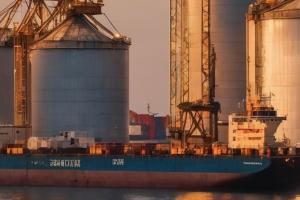 Algeria a achiziționat deja un volum mare de grâu de măcinat