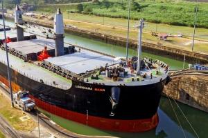 Exporturile de cereale din SUA ar putea crește în 2024.