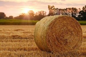 După modelul rusesc, Ucraina introduce o cotă la exportul de grâu