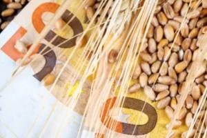 Cotații cereale - impactul Euro și starea recoltelor
