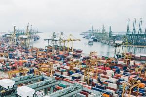 Reducere semnificativă a exporturilor de grâu din Franța