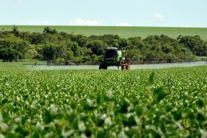 Scădere a exporturilor rusești de soia către China