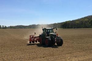 Crește suprafața cultivată cu cereale în Rusia pentru recolta din 2025