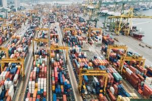 Viterra exportă 71.500 t grâu în Orientul Mijlociu, un nou record