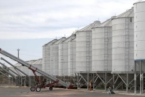 Scădere semnificativă a stocurilor de grâu din Rusia - implicații