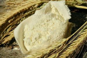 IGC crește producția de grâu dar reduce estimarea pentru porumb și soia