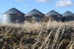 Negocierile "Black Sea Grain Deal" presează cotațiile grâului