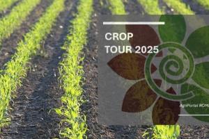 Crop Tour 2025: Evaluăm culturile din România