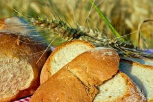 Deși cererea este prezentă pe piață, cotațiile grâului rămân timide