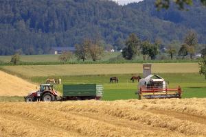 Prețul grâului de la Marea Neagră își păstrează ascensiunea