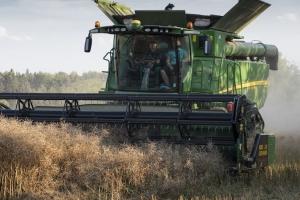 Taxă la exportul de rapiță în Ucraina, pierderi mari pentru fermieri