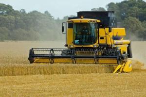 Creștere a producției de grâu și rapiță în Germania
