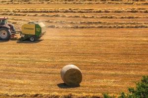 Săptămâna începe cu reduceri pe piețele europene de cereale