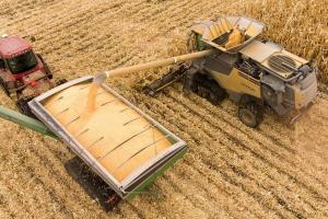 Prețurile grâului CBOT scad din cauza perspectivelor de producție solide